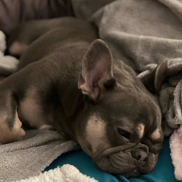 Meet your Posher, Angela - Picture 5 of 9